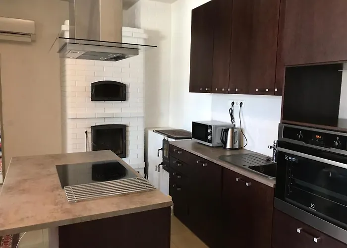 Ryytli House Maidla Village County Estonia Villa *