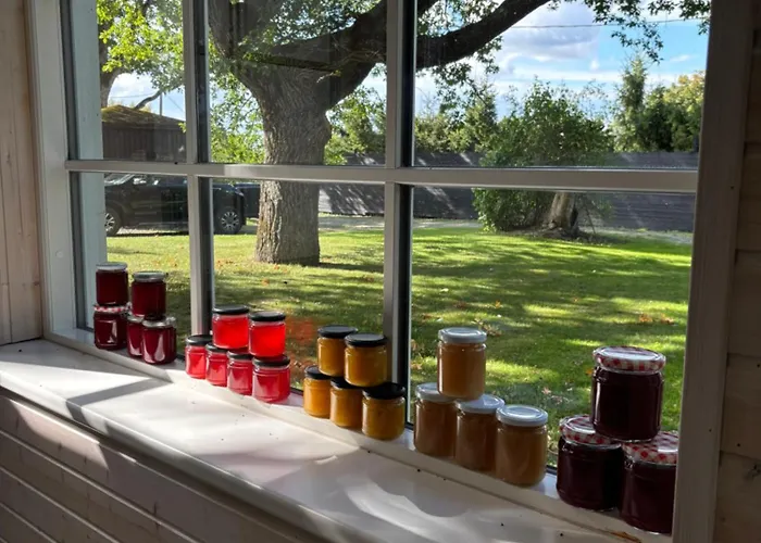 Ryytli House Maidla Village County Estonia Villa *